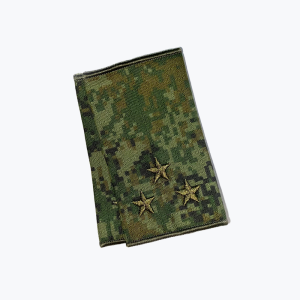 obshevoiskovie-falshpogony-rb-ug