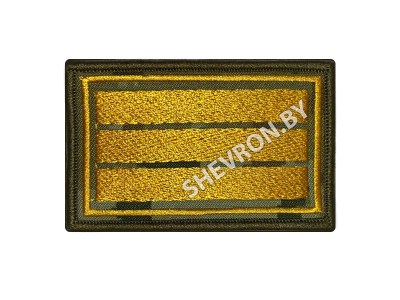 Шеврон (курсовка) 3 КУРС пограничный