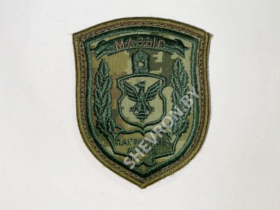 Шеврон Мозырь Пограничная группа камуфляж цифра